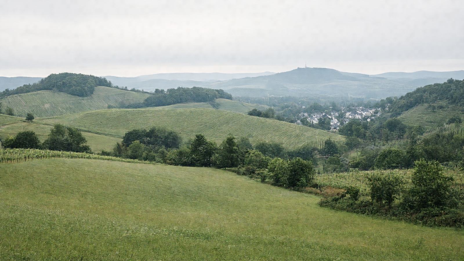 Sanfte Hügel und Wiesen